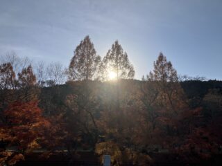 頑張ります！